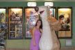 DSC_0184.jpg